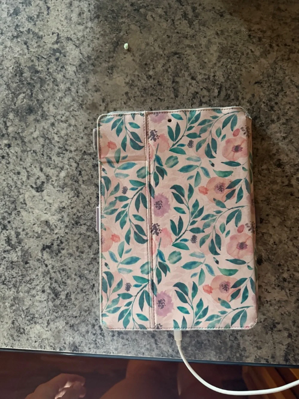 Apple iPad ninth generation
